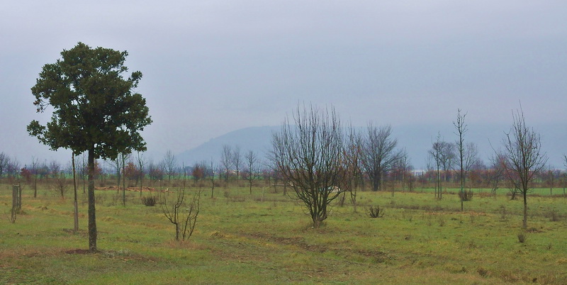 Parco della Piana - Podere della Querciola - Aula didattica